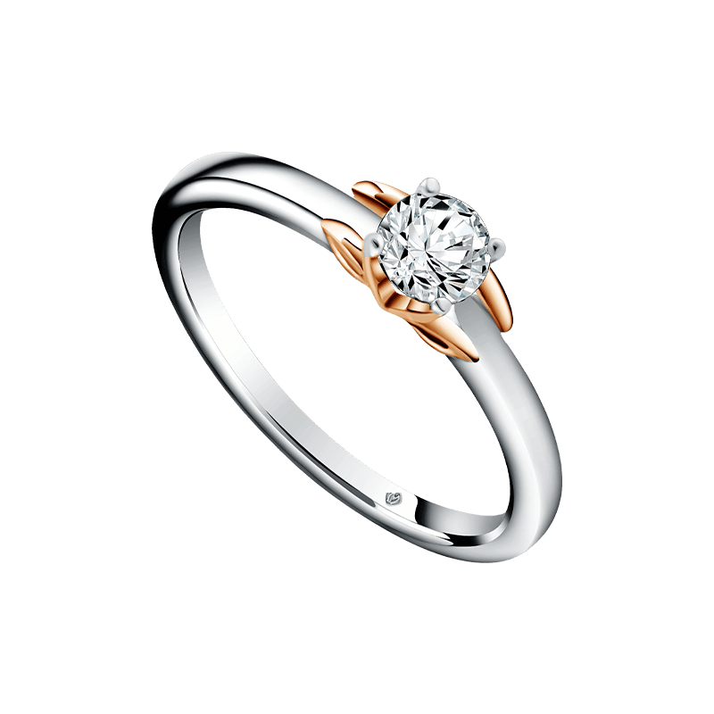 Kenali Beragam Model Cincin Nikah Unik untuk Momen Pernikahan Tak Terlupakan